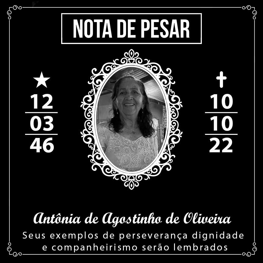 Foto Principal Notícia