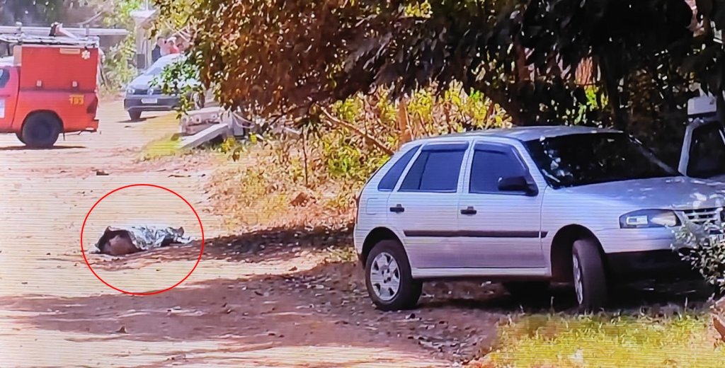 Foto Principal Notícia