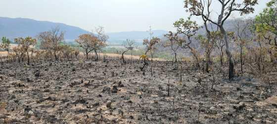 Foto Principal Notícia