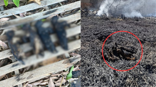 Foto Principal Notícia