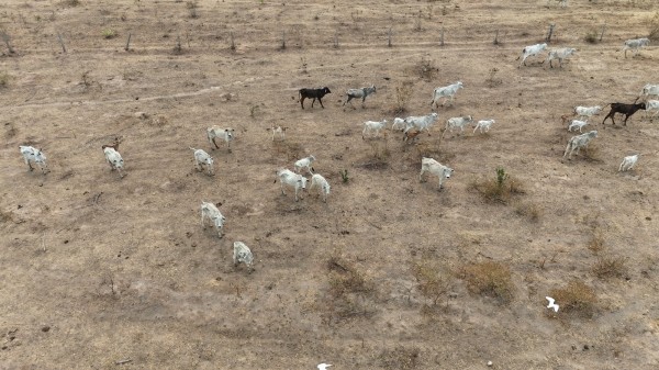 Foto Principal Notícia