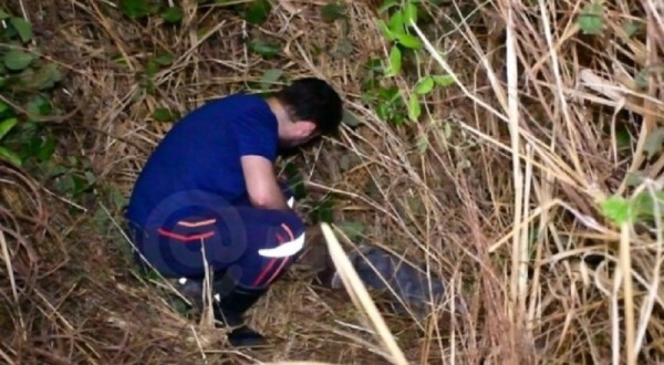 Foto Principal Notícia