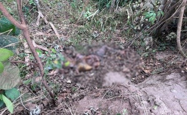 Foto Principal Notícia