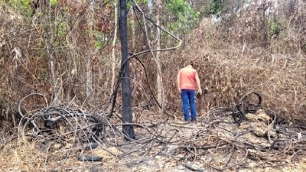 Foto Principal Notícia