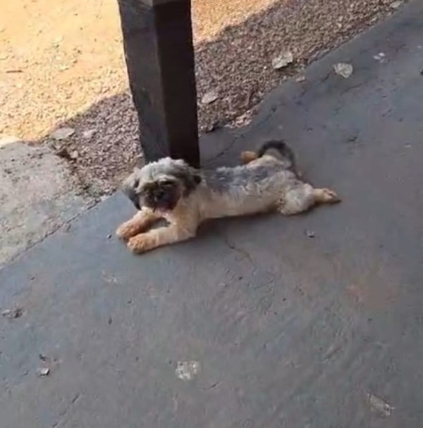 Foto Principal Notícia