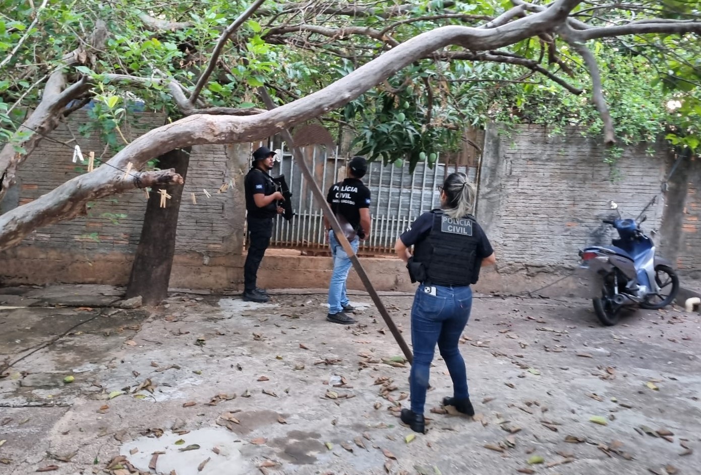 Foto Principal Notícia