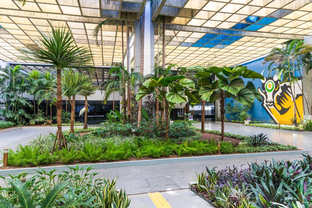 Foto Principal Notícia