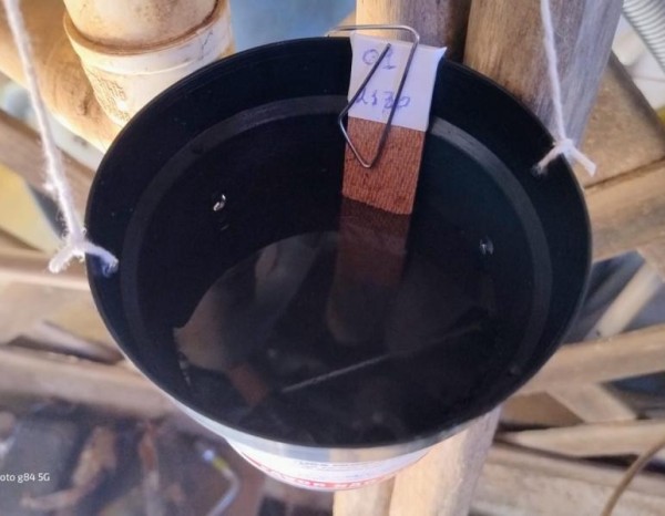 Foto Principal Notícia