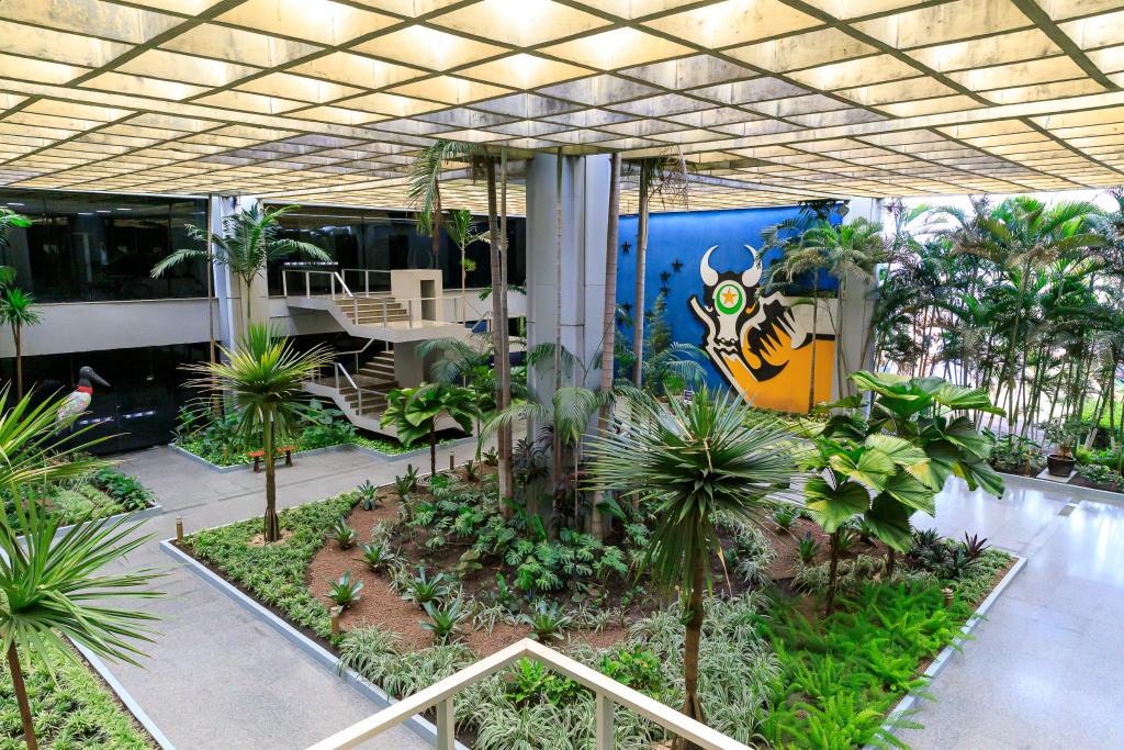 Foto Principal Notícia