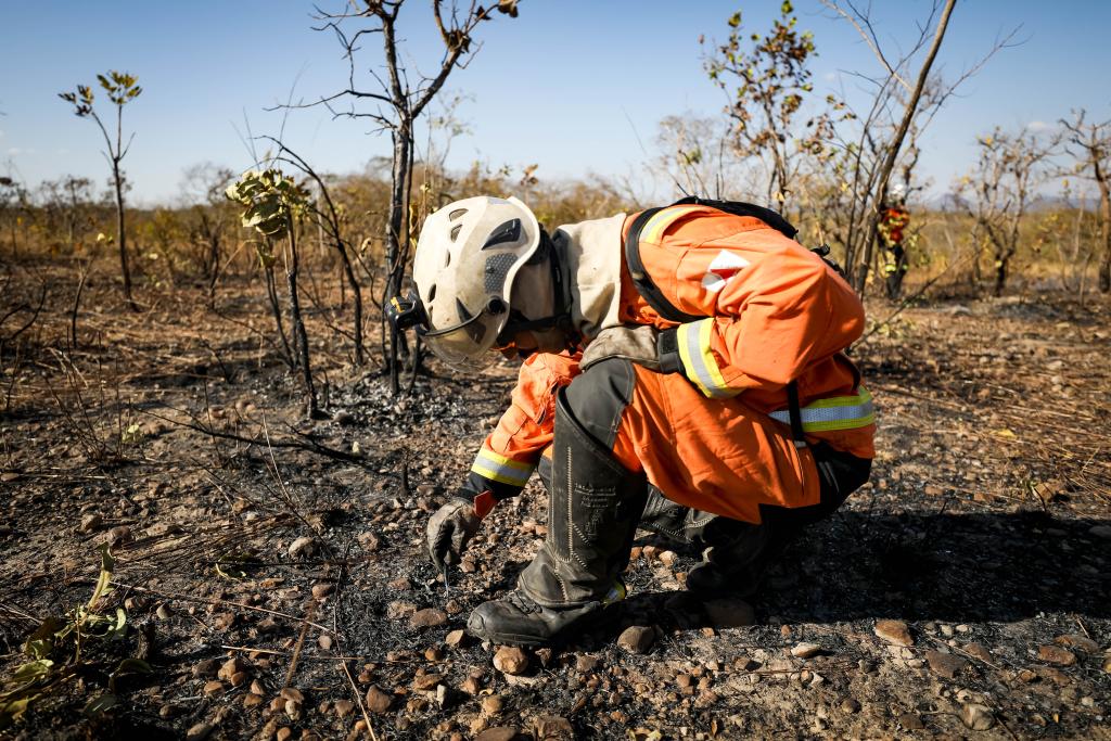 Foto Principal Notícia