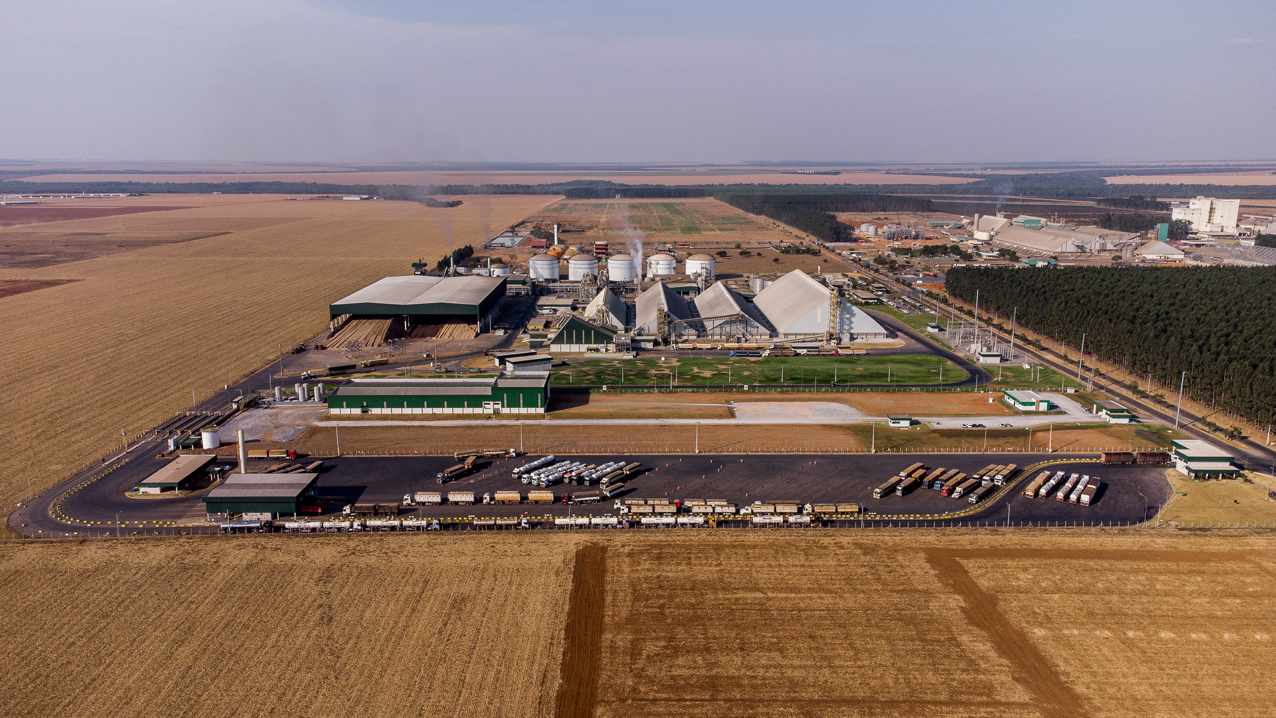 Foto Principal Notícia