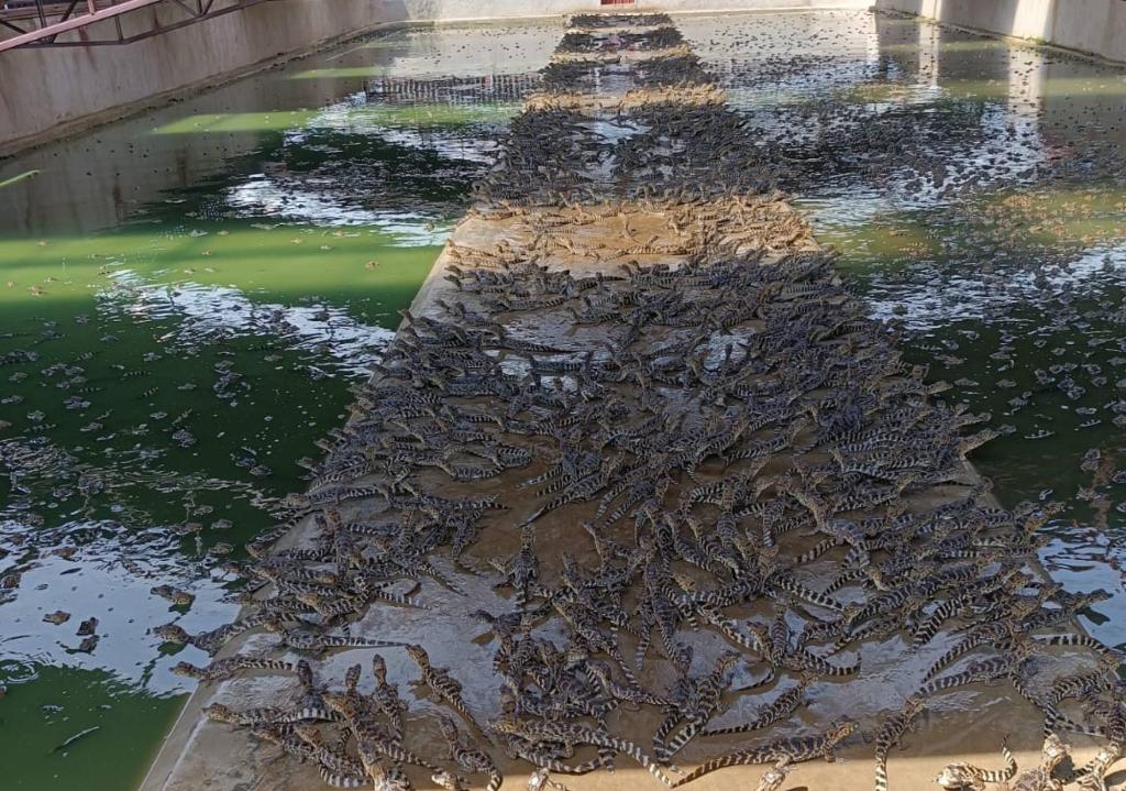 Foto Principal Notícia