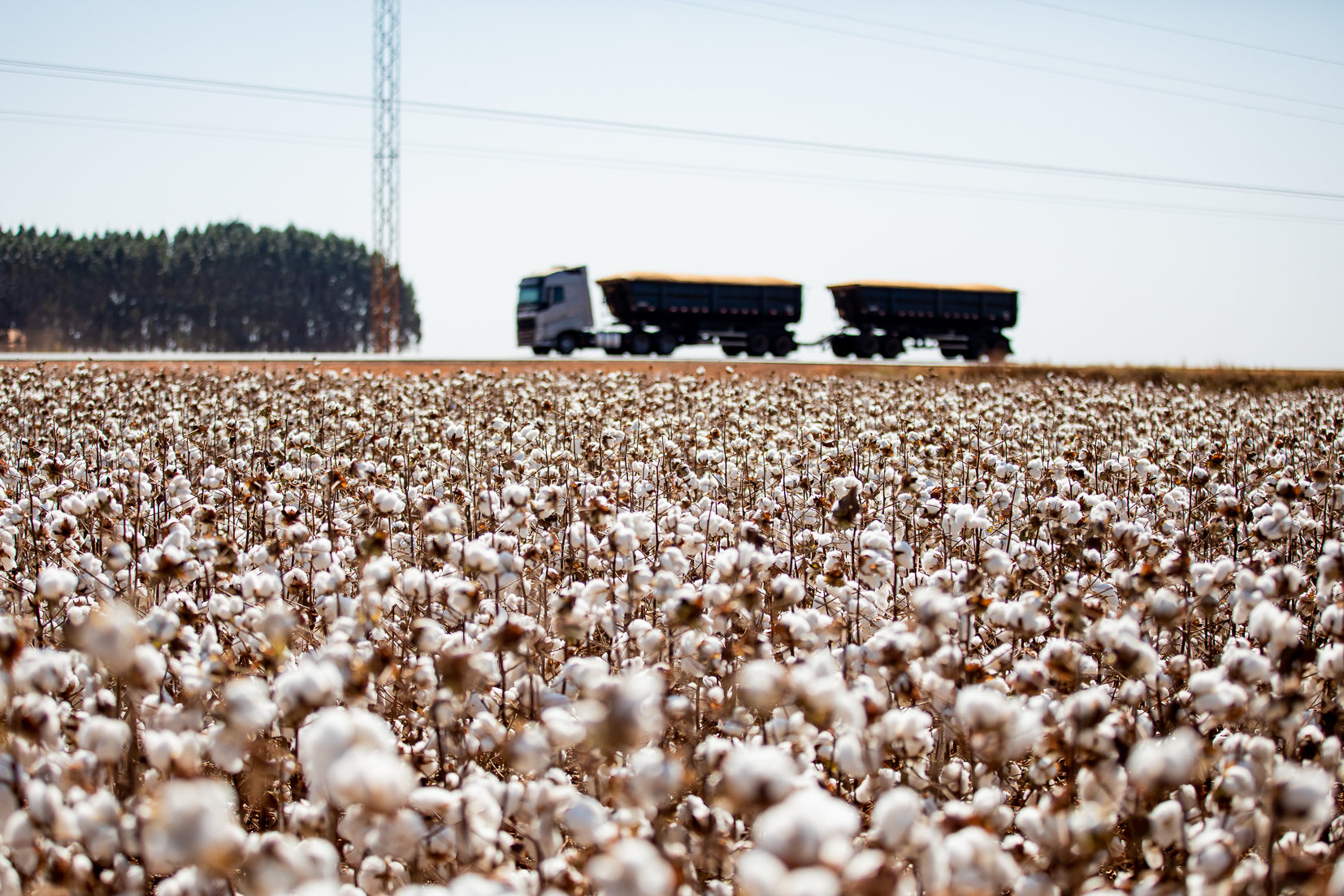 Foto Principal Notícia