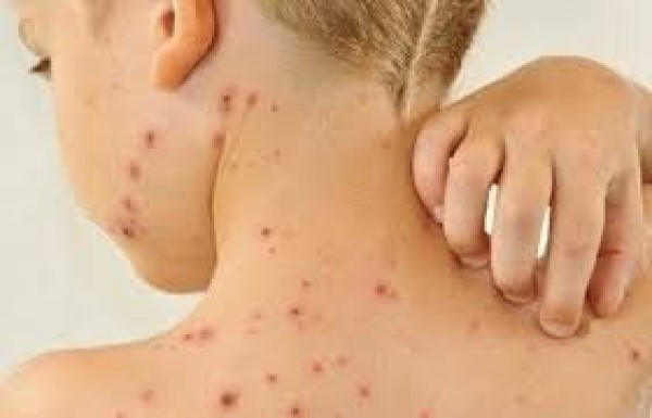 Foto Principal Notícia