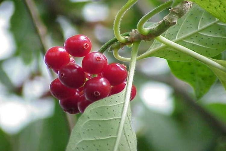 Foto Principal Notícia