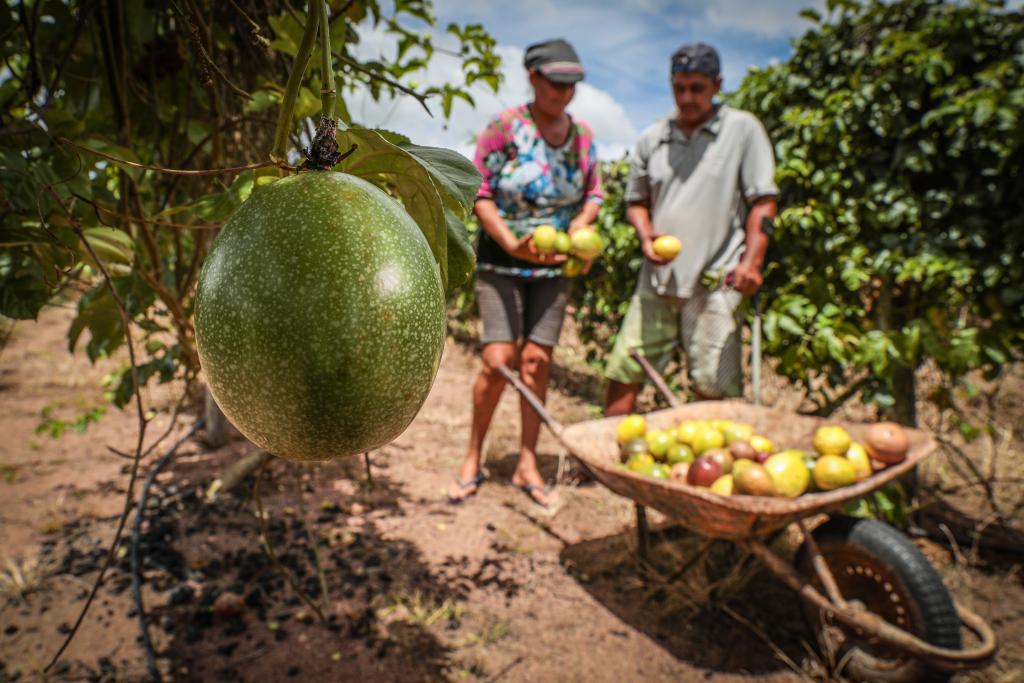 Foto Principal Notícia