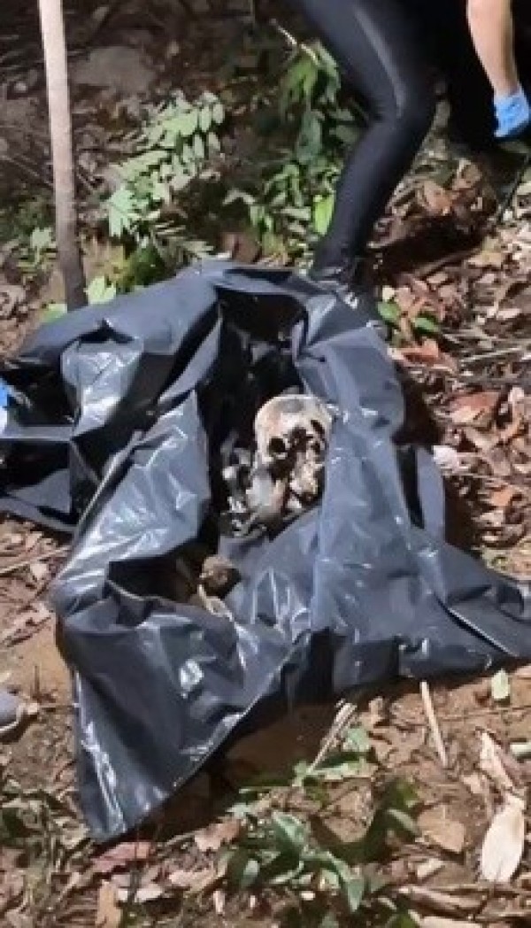 Foto Principal Notícia