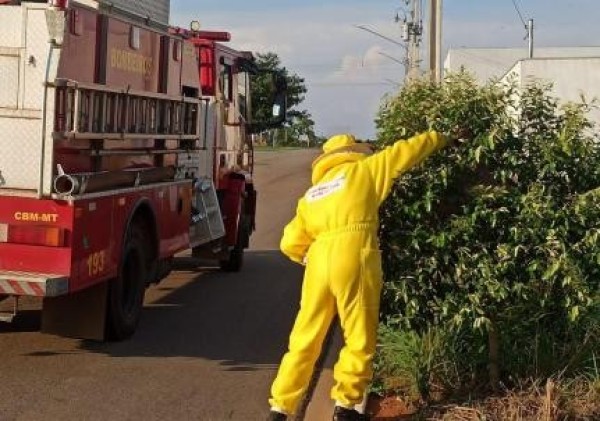 Foto Principal Notícia