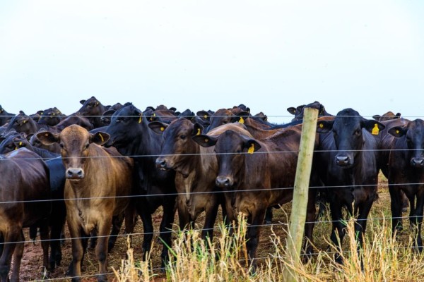 Foto Principal Notícia