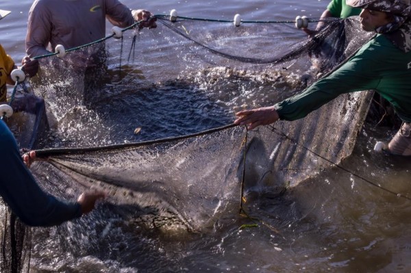 Foto Principal Notícia