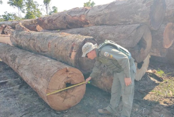 Foto Principal Notícia