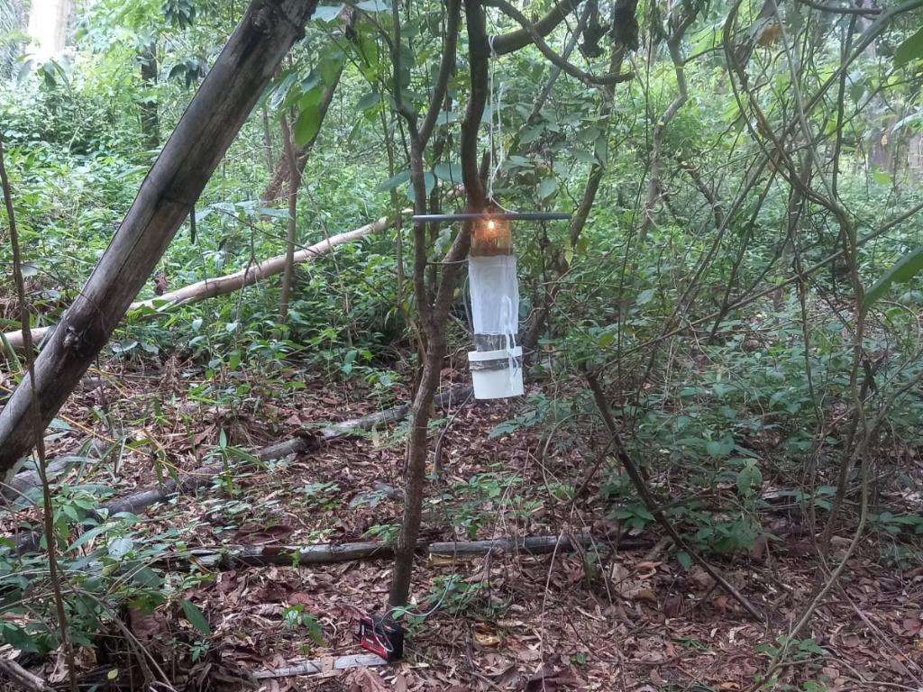 Foto Principal Notícia