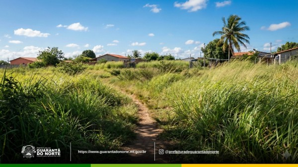 Foto Principal Notícia