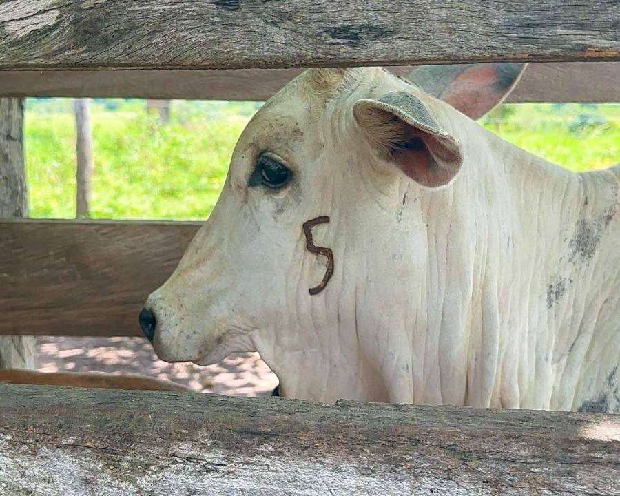 Foto Principal Notícia