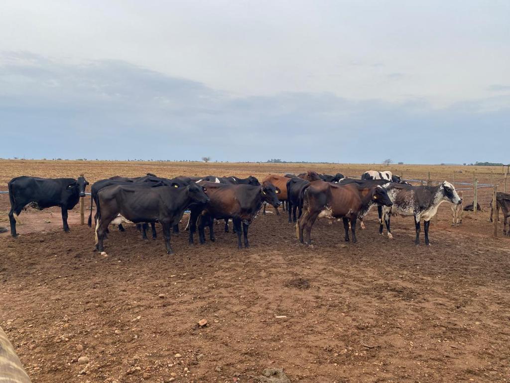 Foto Principal Notícia