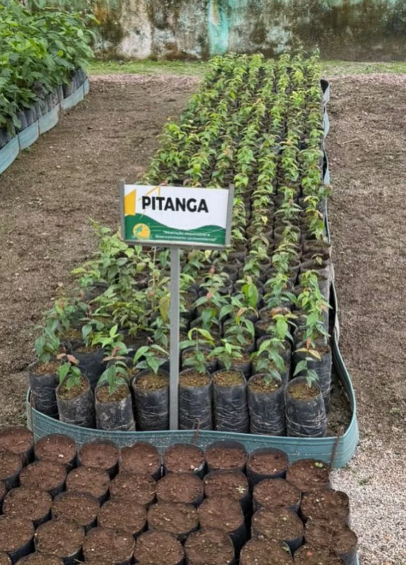 Foto Principal Notícia