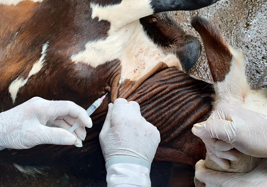 Foto Principal Notícia