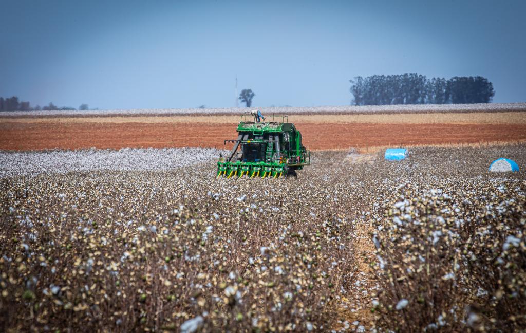 Foto Principal Notícia