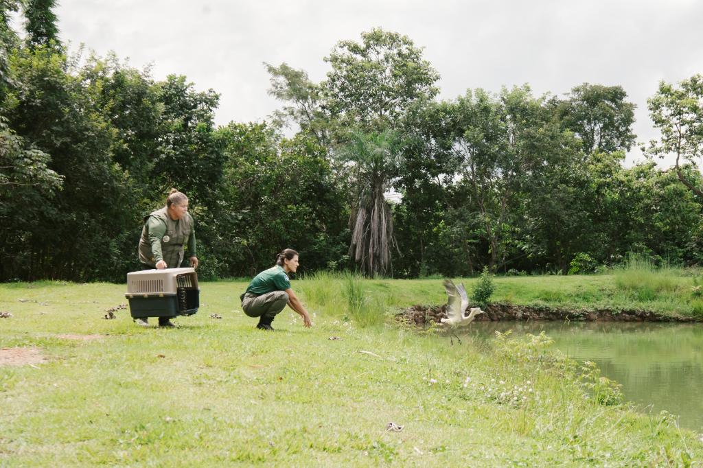 Foto Principal Notícia