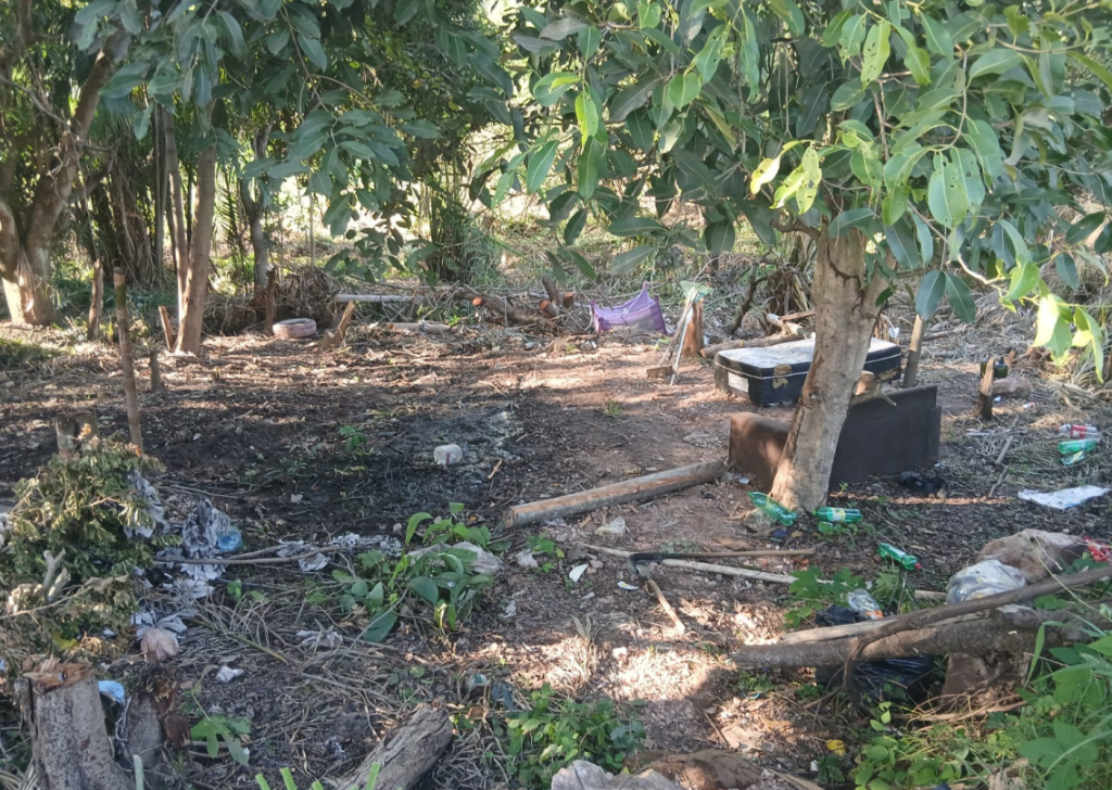 Foto Principal Notícia