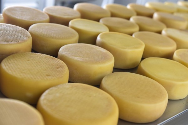 Foto Principal Notícia