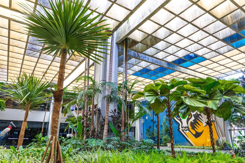 Foto Principal Notícia