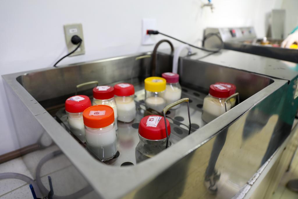 Foto Principal Notícia