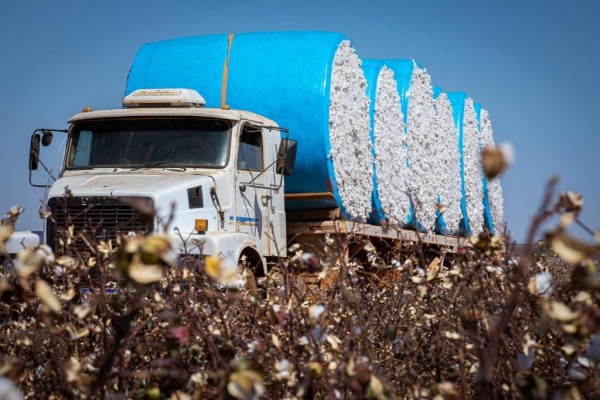 Foto Principal Notícia