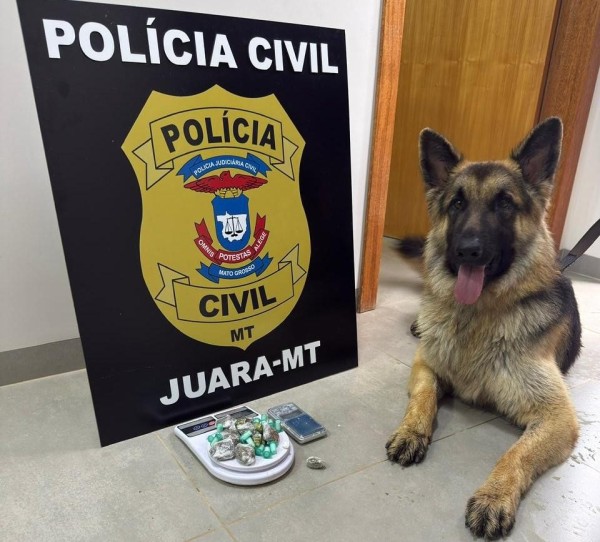 Foto Principal Notícia