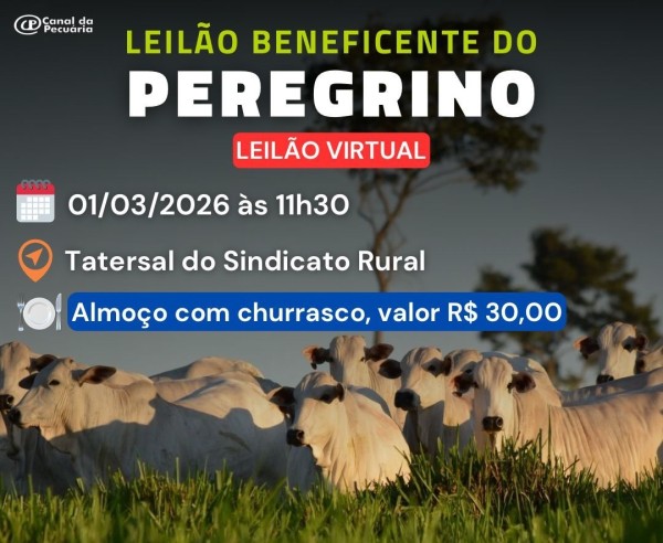 Foto Principal Notícia