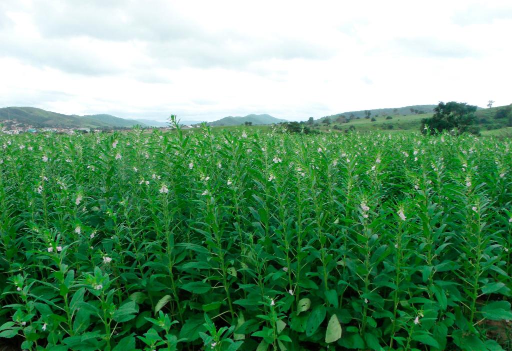 Foto Principal Notícia