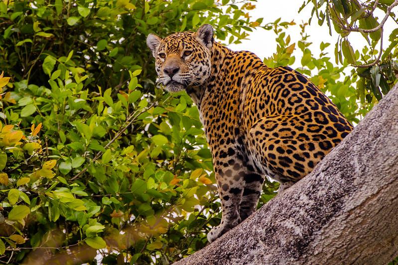 Foto Principal Notícia