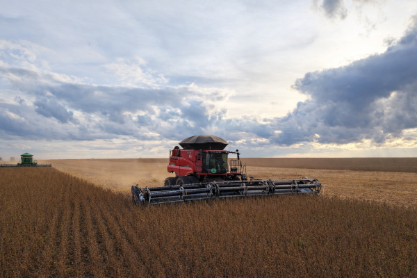 Foto Principal Notícia