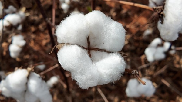 Foto Principal Notícia