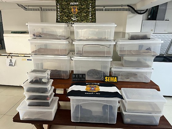 Foto Principal Notícia