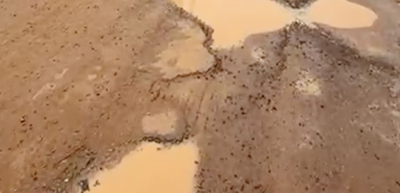 Foto Principal Notícia