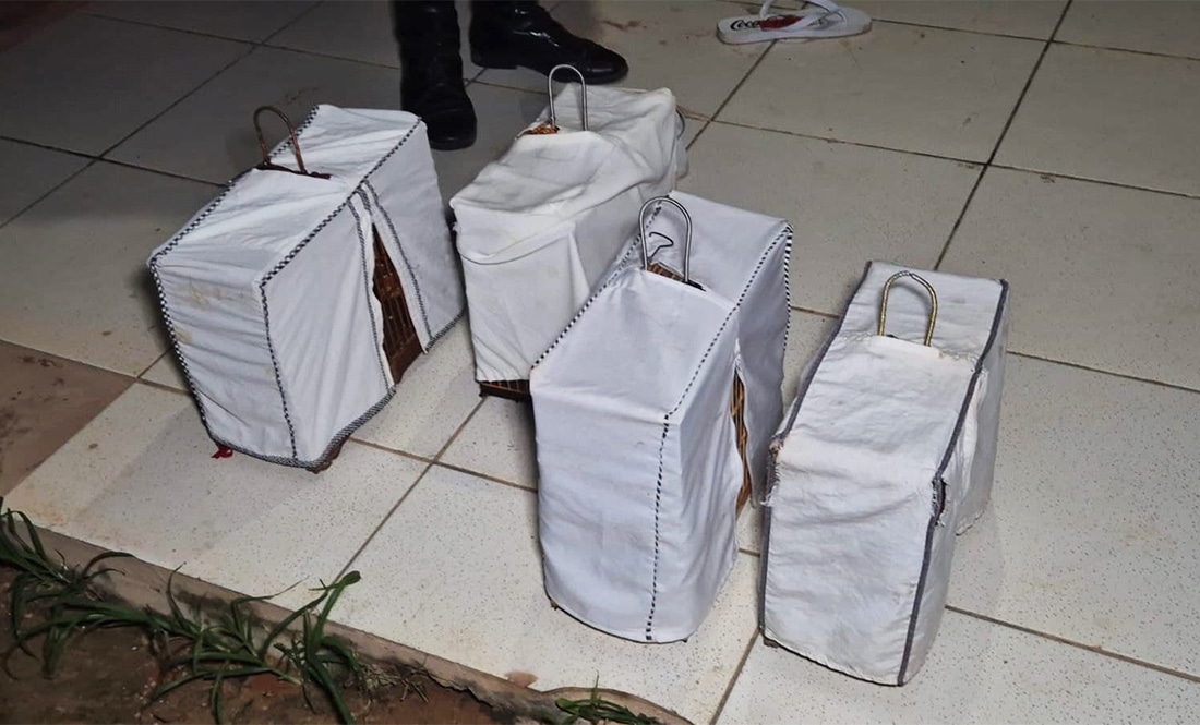 Foto Principal Notícia