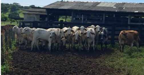 Foto Principal Notícia