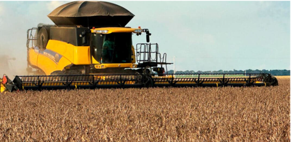 Foto Principal Notícia