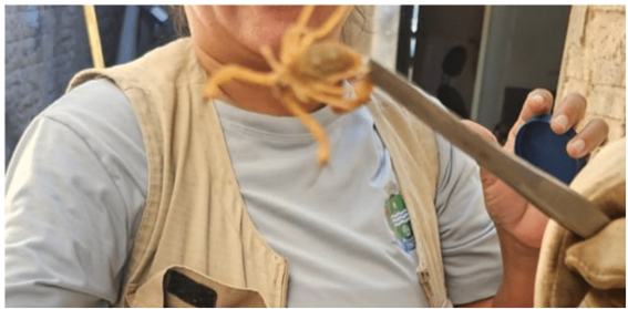 Foto Principal Notícia